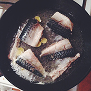 Makrele-mit-Ingwer-kochen
